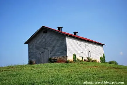 Cum să crească mere în Georgia, atlanta de călătorie (în creștere) Cum să crească mere în Georgia, atlanta de călătorie