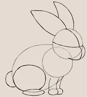 Cum să elaboreze un iepure (pas cu pas) (Rabbit) Cum să elaboreze un iepure (pas cu pas)