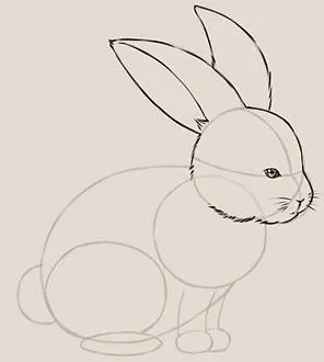 Cum să elaboreze un iepure (pas cu pas) (Rabbit) Cum să elaboreze un iepure (pas cu pas)