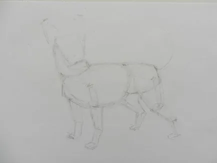 Cum de a desena un caine Chihuahua (pentru a desena) Cum de a desena un caine Chihuahua