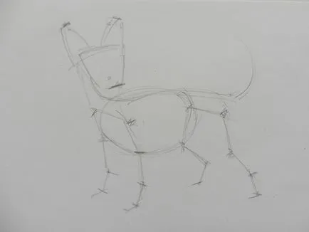 Cum de a desena un caine Chihuahua (creion artist Alex) Cum de a desena un caine Chihuahua