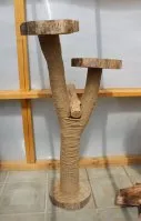 Cum sa faci un post scratching pisica cu mâinile (do) Cum sa faci un post scratching pisica cu propriile sale mâini