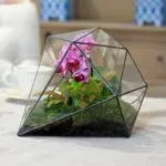 Cum florarium mâinile proprii (20 poze) (florarium) Cum florarium mâinile proprii (20 poze)