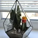 Cum florarium mâinile proprii (20 poze) (fotografii) Cum florarium mâinile proprii (20 poze)