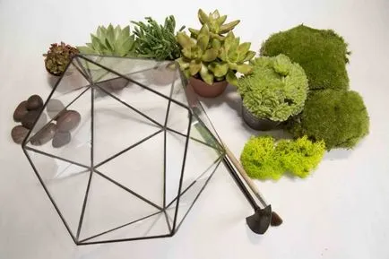 Cum florarium mâinile proprii (20 poze) (do) Cum florarium mâinile proprii (20 poze)