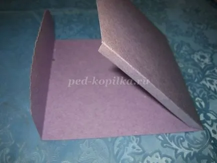 Cum sa faci un plic pentru discul cu pașii lor pe mâini cu fotografii