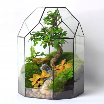 Cum florarium mâinile proprii (20 poze) (florarium propriile lor mâini) Cum florarium mâinile proprii (20 poze)