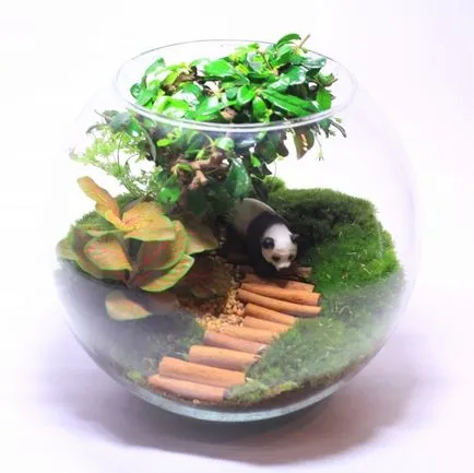 Cum florarium mâinile proprii (20 poze) (arme) Cum florarium mâinile proprii (20 poze)