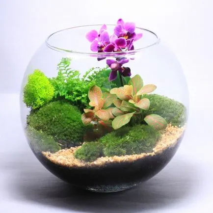 Cum florarium mâinile proprii (20 poze) (lor) Cum florarium mâinile proprii (20 poze)