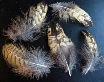 Cum sa faci un Dreamcatcher cu mâinile lor - instrucțiuni pas cu pas (catcher) Cum sa faci un Dreamcatcher cu mâinile lor - ghid pas cu pas
