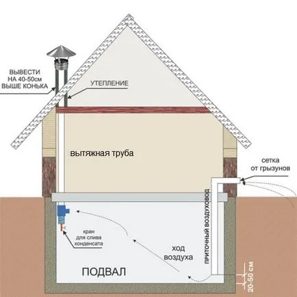 Cum sa faci un subsol sau pivniță cu mâinile lor