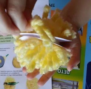 Cum sa faci pui