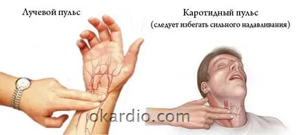 Cum de a reduce ritmul cardiac de la metodele de acasă rapide și regulate (reducerea) Cum de a reduce ritmul cardiac de la metodele de acasă rapide și regulate