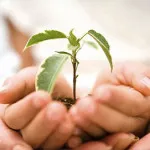 Cum de a crea o fundație de caritate de la sol în sus, baza financiară