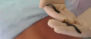 Cum de a mentine o greutate sanatoasa dupa pierderea in greutate și păstrați-l toate în norma