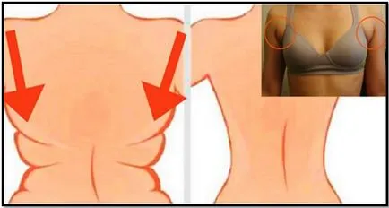Cum de a elimina grasimea din ghidul practic din spate complet (atlas de exerciții sunt) Cum de a elimina grasimea din spate plin de orientări practice