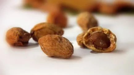 Cum să se usuce caise în timpul iernii - se fierbe caise uscate, caise uscate și Qaisra la domiciliu - susekam