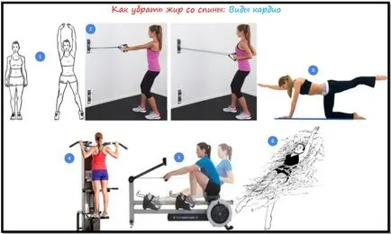 Cum de a elimina grasimea din ghidul practic spate complet (se apropie fiecare exercițiu) Cum de a elimina grasimea din spate plin de orientări practice