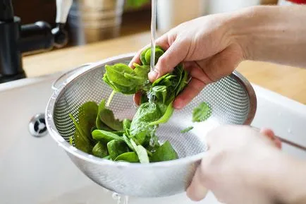 Cum să se usuce ierburi în uscătorul de legume (uscător) Cum să se usuce ierburi în uscător pentru legume