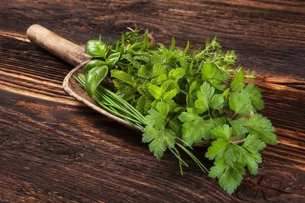 Cum să se usuce ierburi în uscător pentru legume (Greens) Cum să se usuce ierburi în uscător pentru legume