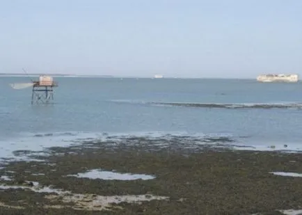 Cum de a construi un fort Boyard