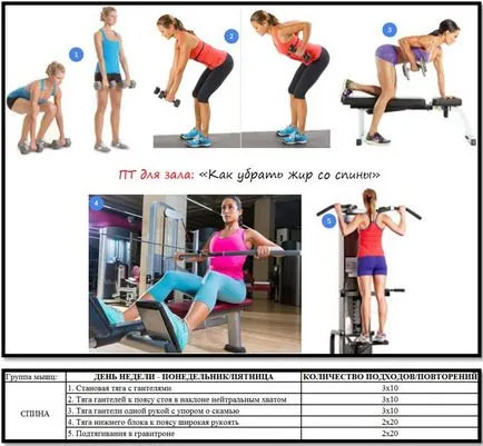 Cum de a elimina grasimea din ghidul practic din spate complet (atlas de exerciții sunt) Cum de a elimina grasimea din spate plin de orientări practice