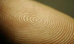 Verificați disponibilitatea pașaportului - guvm, Ministerul de Interne, identificat prin numărul (guvm) Verificați disponibilitatea pașaportului - guvm, Ministerul de Interne, identificat prin numărul