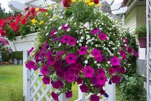 Cum de a decora fațada opțiunilor decorarea casei cu mâinile (fațada) Cum de a decora fațada casei, cu mâinile propriile sale opțiuni de ornamente