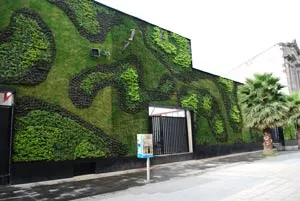 Cum de a decora fațada opțiunilor decorarea casei cu mâinile (fațada) Cum de a decora fațada casei, cu mâinile propriile sale opțiuni de ornamente