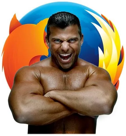 Cum de a elimina un plug-in suplimentar mozilla firefox