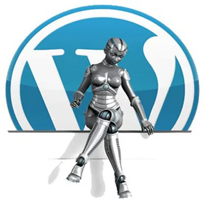 Cum se instalează și activați plugin-ul de pe wordpess (plug-in) Cum se instalează și să activați plugin-ul de pe wordpess