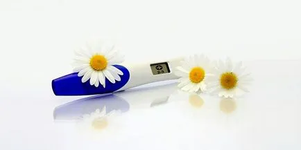 Cum de a îmbunătăți calitatea ouălor tativk lor, manualul meu