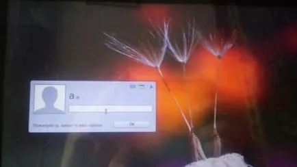 Cum se instalează Linux Mint 18 al doilea sistem, suport tehnic, în zilele lucrătoare (a doua) Cum se instalează Linux Mint 18 al doilea sistem, suport tehnic, în zilele lucrătoare