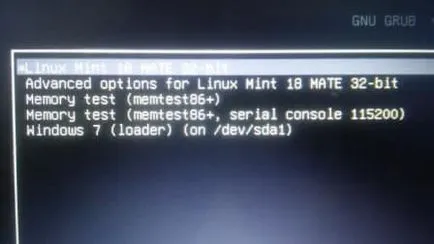 Cum se instalează Linux Mint 18 al doilea sistem, suport tehnic de rutină (set) Cum se instalează Linux Mint 18 al doilea sistem, suport tehnic, în zilele lucrătoare