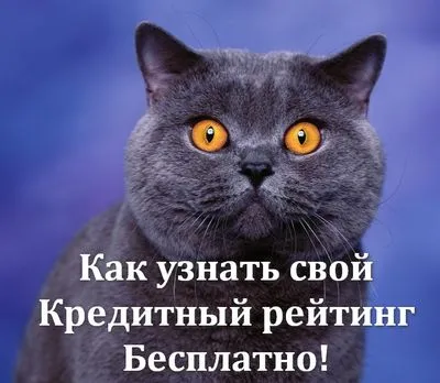 De unde știi scorul dvs. de credit gratuit