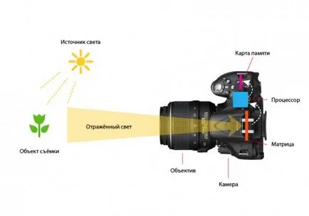 Cum de a alege un aparat de fotografiat profesional pentru incepatori