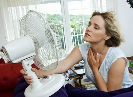 Cum de a alege un ventilator de podea pentru acasă, vis acasă (fotografii ventilator in aer liber) Cum de a alege un ventilator de podea pentru acasă, acasă de vis