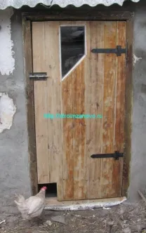 Cum să crească pui
