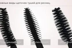 Cum de a alege un rimel (selectați) Cum de a alege un rimel