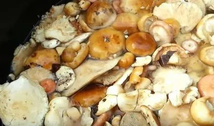Cum de a absorbi ciuperci film alb-negru ca un macerat de ciuperci sărate și înainte de sarare