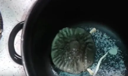 Cum de a absorbi ciuperci film alb-negru ca un macerat de ciuperci sărate și înainte de sarare
