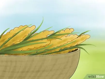 Cum de a cultiva mei