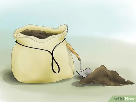 Cum de a cultiva mei
