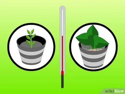 Cum de a cultiva plante de interior în apă (hidroponic), (apa) Cum de a cultiva plante de interior în apă (hidroponic)