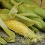 Cum de a afișa grăsimea corpului (celule grase adipocite diferă) Cum de a aduce grăsimea din organism
