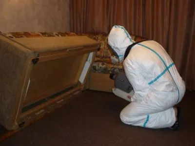 Cum de a afișa bug-uri din apartament le la domiciliu instrumente eficiente (home) Cum de a afișa bug-uri din apartament le la domiciliu instrumente eficiente