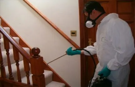 Cum de a afișa bug-uri din apartament le la domiciliu instrumente eficiente (home) Cum de a afișa bug-uri din apartament le la domiciliu instrumente eficiente