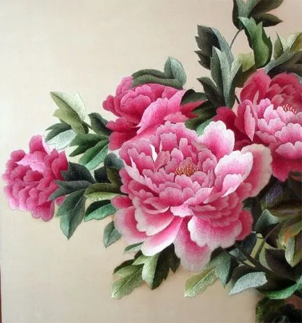 Ca broderie broda