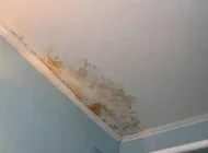 Cum se albeasca plafonul după scurgere