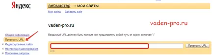 Cum de a proteja site-ul dvs. de la copierea textului, Vaden pro